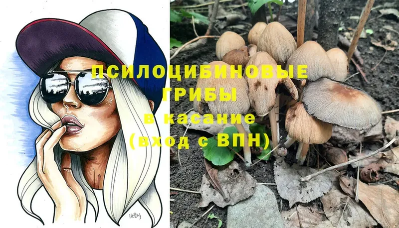 Галлюциногенные грибы Psilocybe  МЕГА онион  Чистополь 